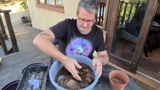 Red Swamp Maple - Acer Rubrum - Seed Propagation