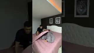 Como dormir tranquilo