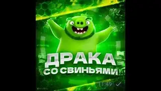 •драка со свиньями•
