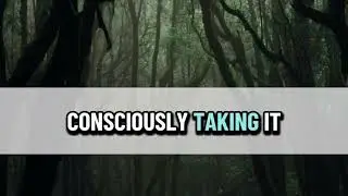 #6 Attention: builds your reality, protect it like your life depends on it. 