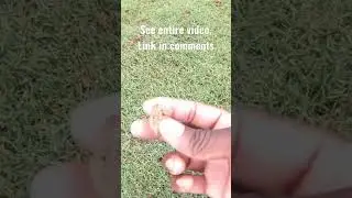 Aeration Makes Fertilizer work better Here&rsquo;s how