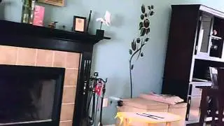 V911_Feb18-IndoorFlight-landings