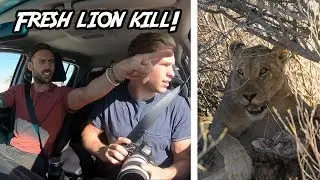 SPOTTING LIONS on our AFRICAN SAFARI! - Etosha, Namibia | Exploring With Cody