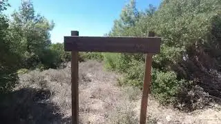 Lone Pine Cemetery and Silt Spur Trench