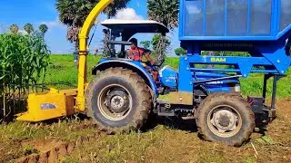 Multi crop chopper usages & performance | Sonalika Worldtrac 90 Rx 4wd | Corn silage | SAM
