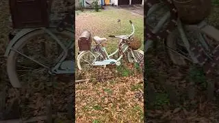 BICYCLE MAILBOX #bicycle #mailboxes #love #funny #art #laugh #viralvideo #trending #shorts #gaming