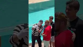 Tom&rsquo;s funny antics