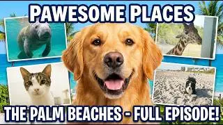 Pawesome Places: The Palm Beaches (Full Episode)