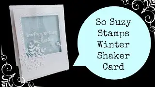 Stamping and Embossing on Acetate How-to Shaker Card