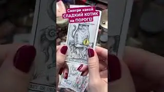Смотри какой СЛАДКИЙ КОТИК на ПОРОГЕ!