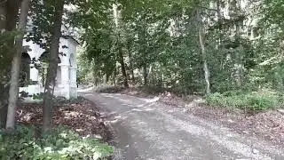 Ford Mustangs offroad, forest roads in Romania