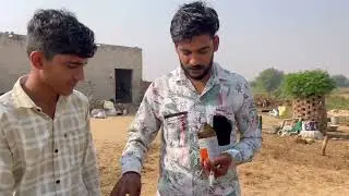 HF नस्ल की गाय में Downer Cow Syndrome का शानदार ईलाज 