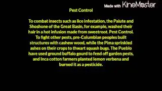 Indiginous american inventions and discoveries