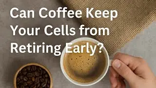 Is Caffeine Quietly Delaying Cellular Dysfunction?