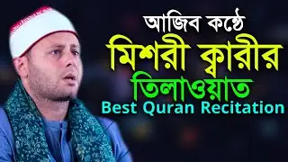 আজিব কন্ঠে মিশরী ক্বারীর তিলাওয়াত Sheikh Mahmoud Al Qazzaz Best Quran Tilawat