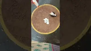 making penguin shape toy with melting metal