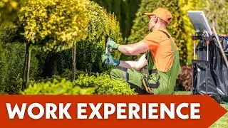 North Texas Works / WIOA Youth Program: Soft Skills, Work Experience, and Training for a Living Wage