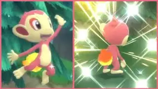 [LIVE] Shiny Chimchar After 2148 SR's In Pok&eacute;mon Brilliant Diamond!