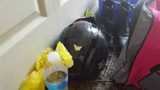My new riding boots came/my new riding bag/How to organize your riding bag
