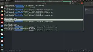 Python 3 - Arguments