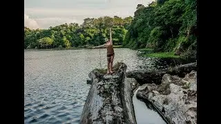 VIAGEM AMAZONIA (Amazon Turtle Lodge) - Set/17