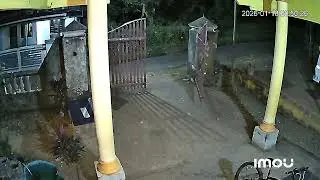 പീച്ചിയിൽ പൂച്ചപുലി CCTV ദൃശ്യം #wildlife #shortsfeed #forest #cat #leopard #tiger #night 