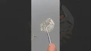 Tangkap ikan dengan jaring seser