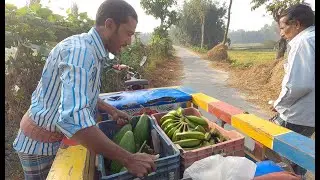 কত টাকার কাচ কলা আর লাউ বিক্রি করলাম? | Doyel Agro