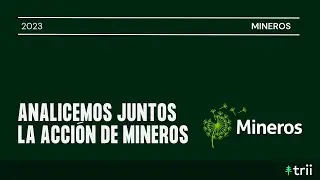 Analicemos la acción de Mineros