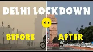 Delhi Lockdown: Nature Heals Itself