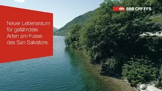 SBB Showreel CORPMEDIA