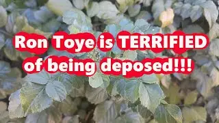 Ron Toye is TERRIFIED of being deposed!