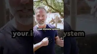 Почему гориллы бьют себя в грудь?