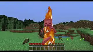 SiblingCraft (3) MONTAGE TIME! With EchoTheAlpha!
