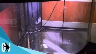 #212: Starting a 90 Gallon Office Reef Tank - DIY Wednesday