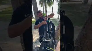 Que es el sistema de buceo AVELO?