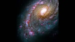 Universo. Phillip Duperly
