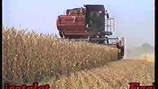 &Ouml;ktv-Arat&aacute;s 95'