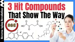 3 HIT Compounds That Show The Way To Extend Healthspan & Lifespan