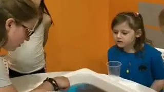 Creative Science Program