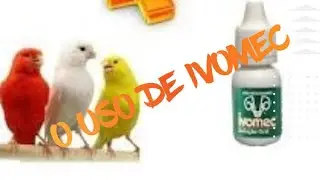 USO DE IVOMEC NOS CAN&Aacute;RIOS