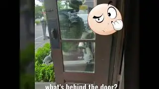 Cat sleeping behind the door - Uncle Mumu