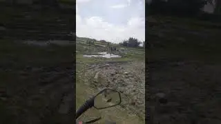 jute harvesting short video # short