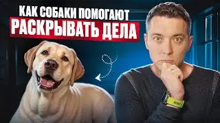 Как СОБАКА находит преступников?