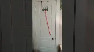 #cat #video for cats to watch #fail #stupid #dumb