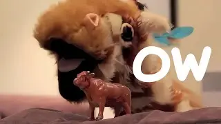 Mr.T Does Phonics with Geraldine the Giraffe - The 'ow' Digraph