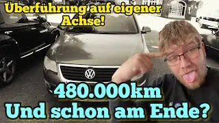 VW Passat 3C mit 480.000km gekauft! Nur noch was für den Export? | Autohandel Alltag
