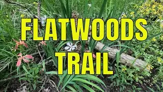 Flatwoods Trail at Mermet Lake