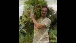 Hemperium