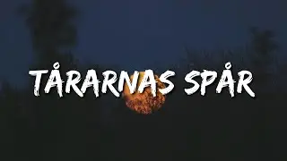 Hov1 - Tårarnas spår (Lyrics)